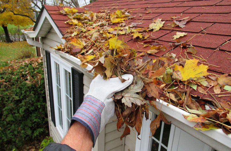 Roof Gutter Cleaning in Richmond, VA