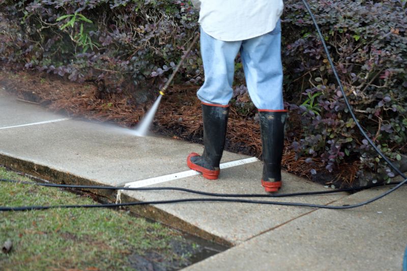 Walkway Pressure Washing detail