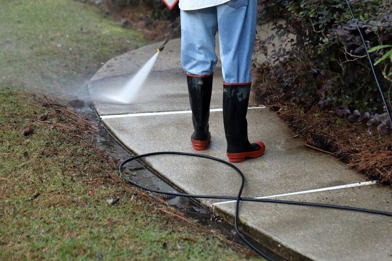 Walkway Pressure Washing detail