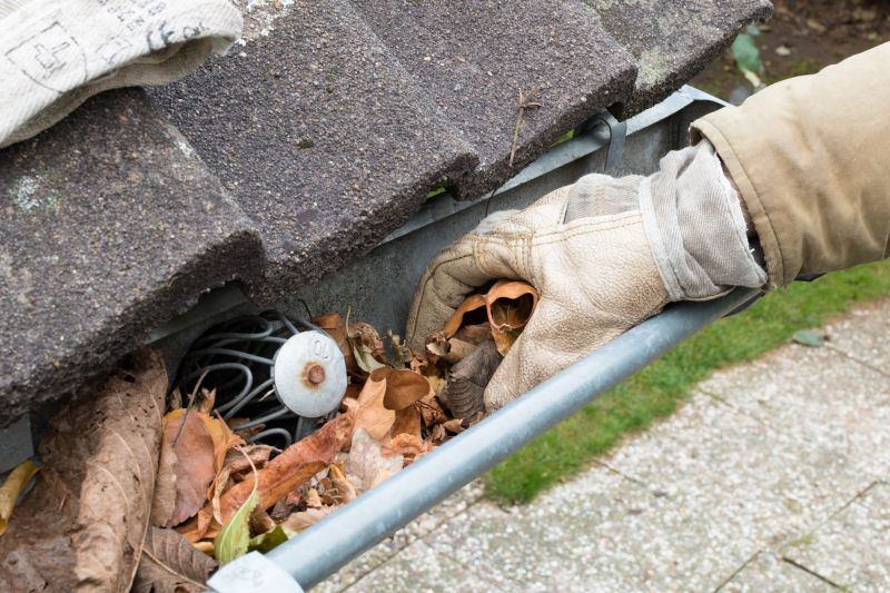 Garage Gutter Cleaning in Fredericksburg, VA