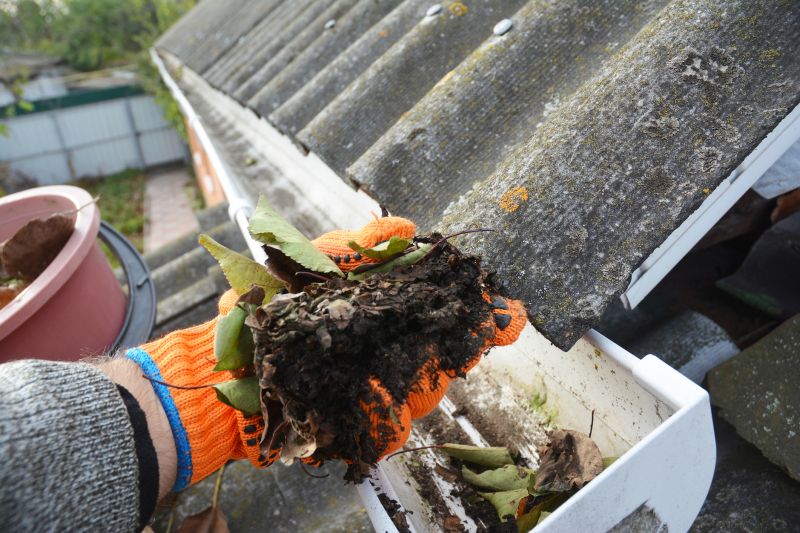 Gutter Leaves Removal in Fredericksburg, VA