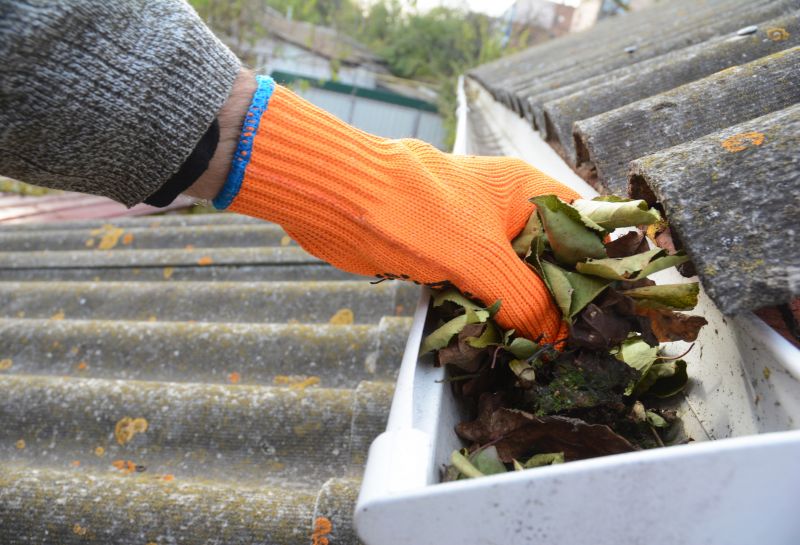 Roof Gutter Cleaning in Rochester, NY